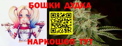 прущие грибы Кингисепп