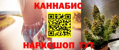 прущие грибы Кингисепп