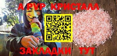 прущие грибы Кингисепп
