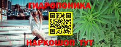прущие грибы Кингисепп