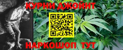 прущие грибы Кингисепп