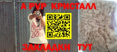 прущие грибы Кингисепп