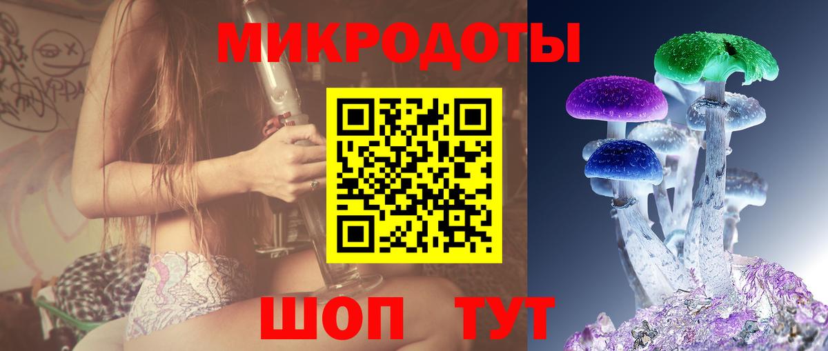 Краснознаменск  купить закладку  Вход с VPN  Галлюциногенные грибы GOLDEN TEACHER 